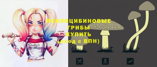 а пвп мука Алзамай