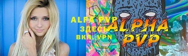 стаф Алексин