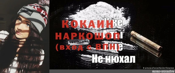 стаф Алексин